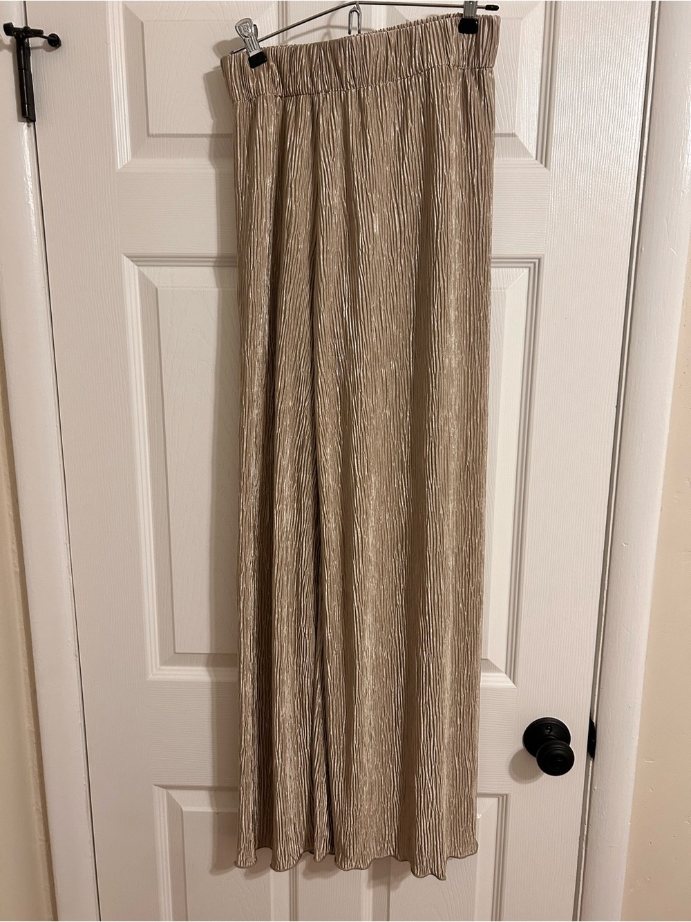 Metallic Pleated Wide-Leg Pants in Light Gold